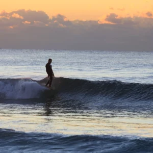 Ocean & Earth - Leash Genou Longboard Diamond Flex