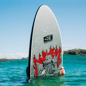 Ocean and Earth - Bat Outta Hell